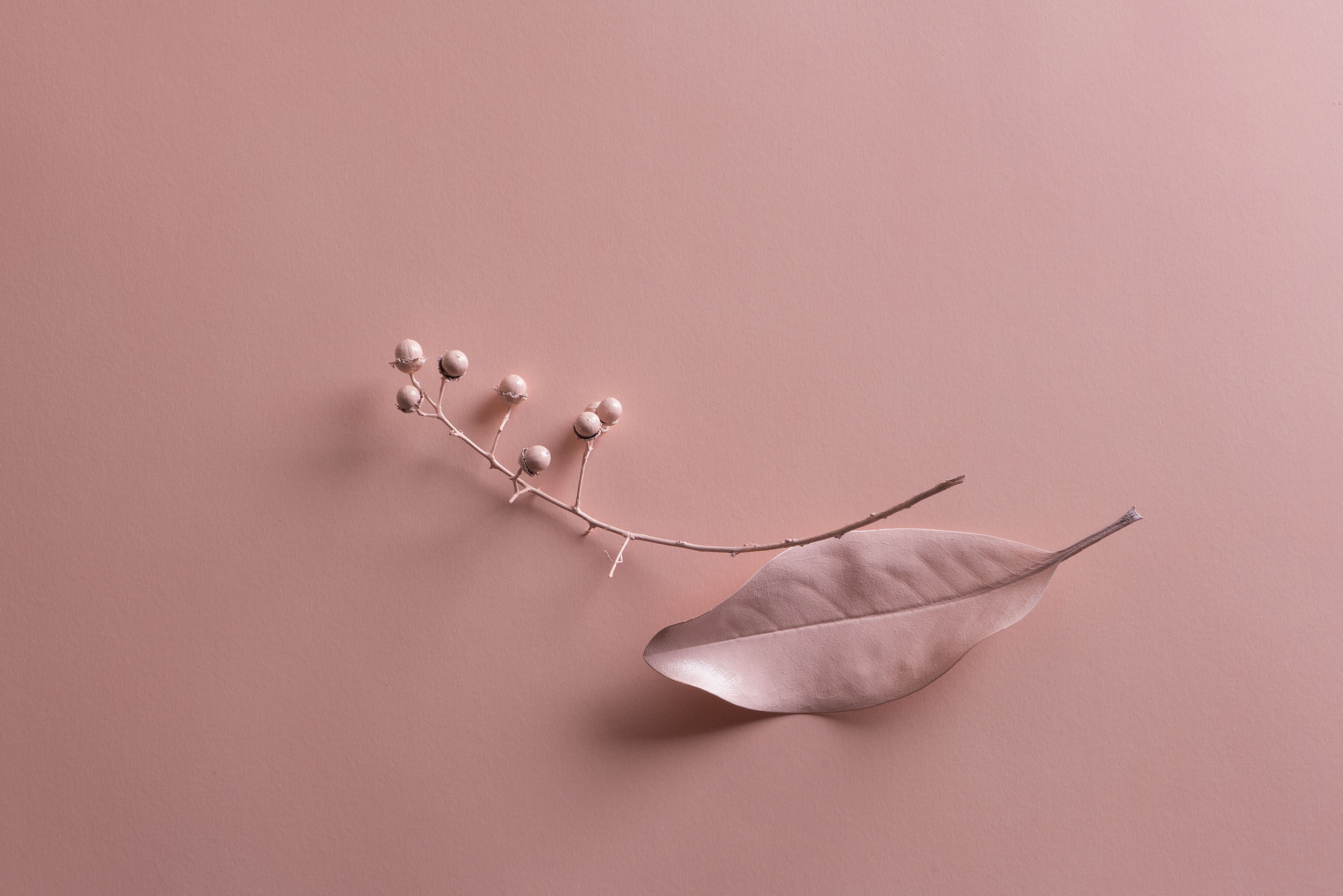 Pink Leaves and Branch